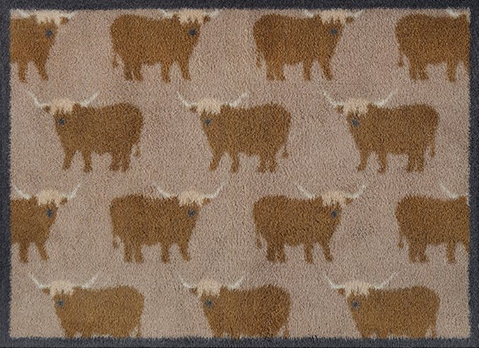 Highland Cows